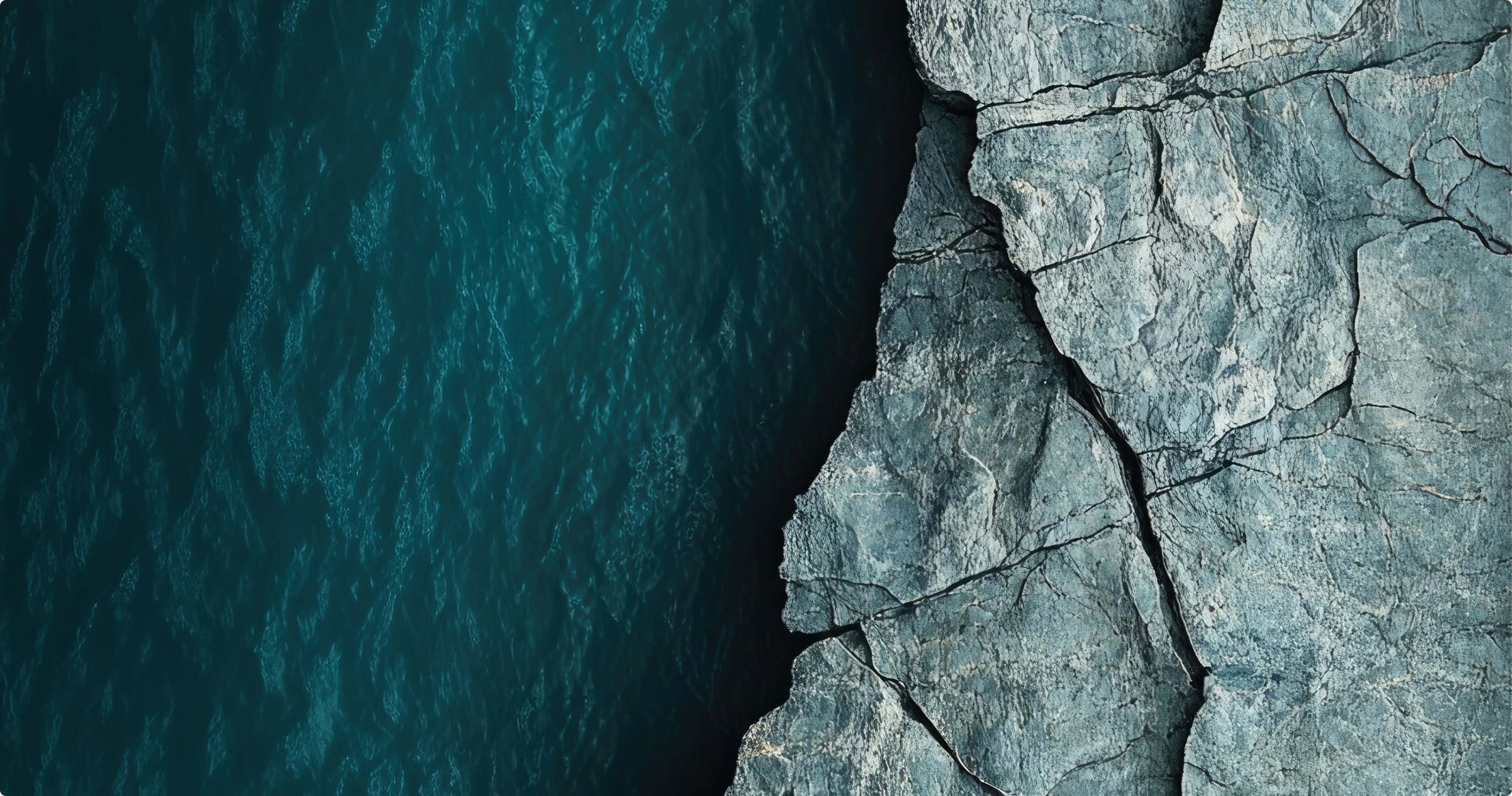 Header Image.png